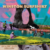 Winston Surfshirt: Sponge Cake Rebaked