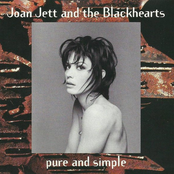 Pure And Simple cover