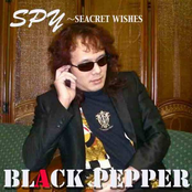 Spy Seacret Wishes