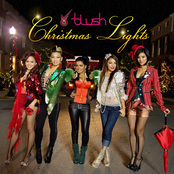 Christmas Lights by Blush