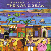 The Caribbean