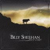 Billy Sheenan: Holy Cow!