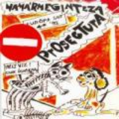 Namármeginteza Prosectura