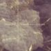 Noranta graus a l'esquerra