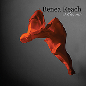 Legacy by Benea Reach