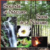 Sons de la nature, Vol. 2