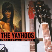 I Can Give You Everything by The Yayhoos