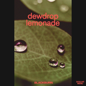 Dewdrop Lemonade