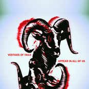Vestiges of Tails Appear in All of Us