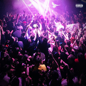 The Bassline Edition