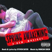 Lea Michele: Spring Awakening