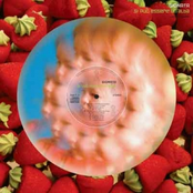 Si può essere un'alba (2005)