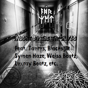 Caught by the thick Fog