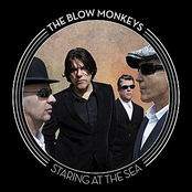 One Of Us Is Lying by The Blow Monkeys