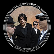 The Killing Breeze by The Blow Monkeys