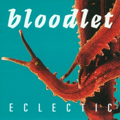 Bloodlet: Eclectic