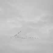 Bonus (2007-08-10 19:17:55)