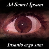 Insanio Ergo Sum