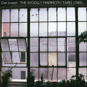 The Woolly Mammoth Tapes (1989)