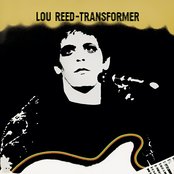 Lou Reed - Transformer Artwork