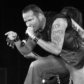 Tim Ripper