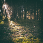 Swāikstas perēisna