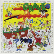 Back From The Grave Vol. 5
