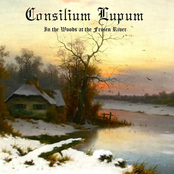 In the Woods at the Frozen River