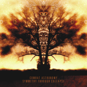 Symmetry Through Collapse