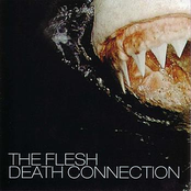 Love by The Flesh