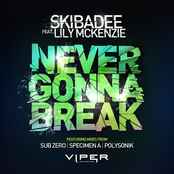 Never Gonna Break