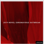 2019 Novel Coronavirus Outbreak