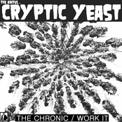 The Chronic / Work it