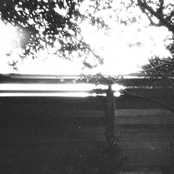 Maltross / Rvins Split