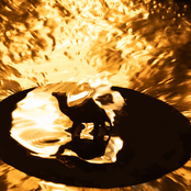 Brass Camel: Brass Camel