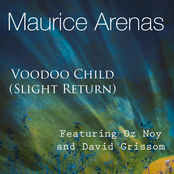 Voodoo Child (Slight Return)