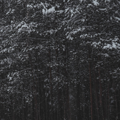 demo 3 (march, 2022)