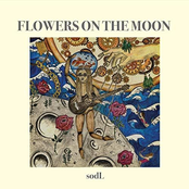 Flowers on the Moon