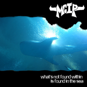 What's not found within is found in the Sea