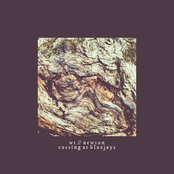 Cussing At Blue Jays