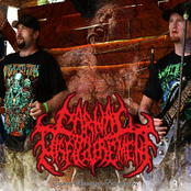 Carnal Disfigurement