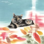 かくれんぼ / Kakurenbo