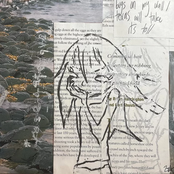 bugs on my wall / texas will take its toll - Single