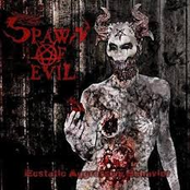 Ecstatic Aggressive Behavior