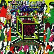 Electric Sugarcube Flashbacks