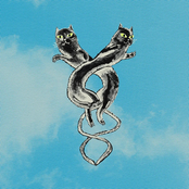 You Can't Make Me Dance