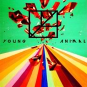 Young Animal