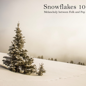 Snowflakes 10