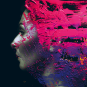 Steven Wilson: Hand Cannot Erase