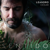 SENTIDO